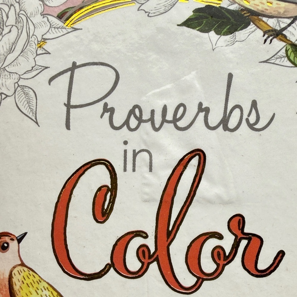 NEW Proverbs in Color Cards to Color and Share Beautiful - Picture 3 of 4